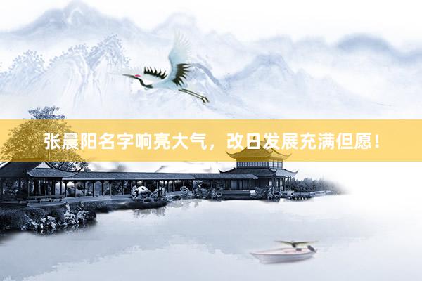 张晨阳名字响亮大气，改日发展充满但愿！